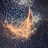 Amid The Tangled Stars